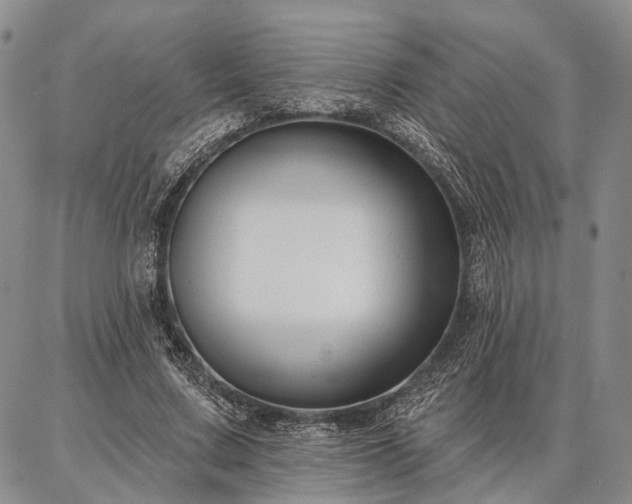 X0000086880683200704231103