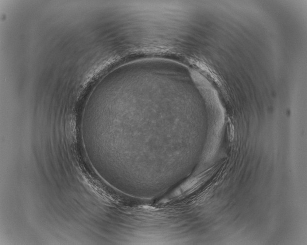 X0000086880684200704231103