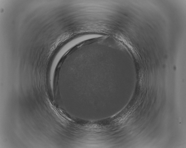 X0000086880685200704231103