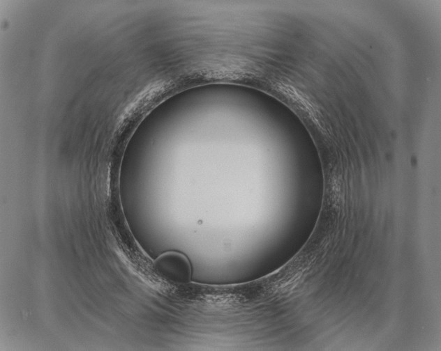 X0000086880686200704231103