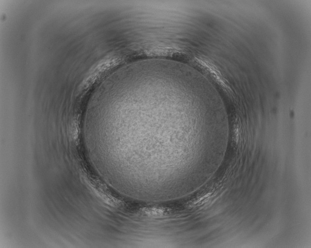 X0000086880687200704231103