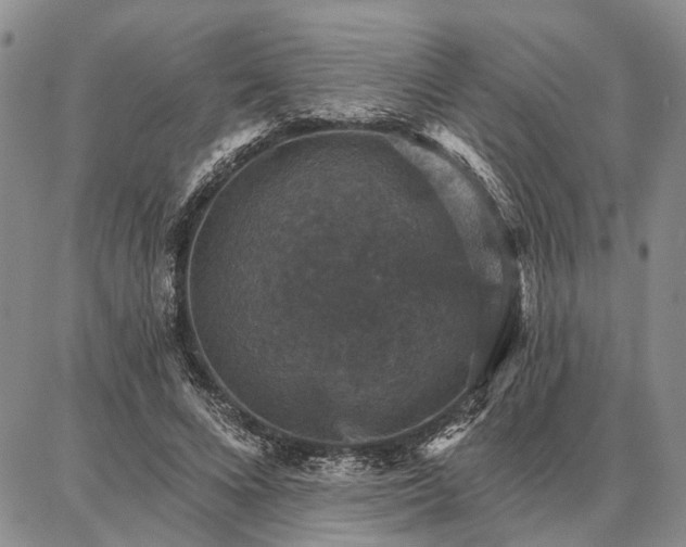 X0000086880688200704231103