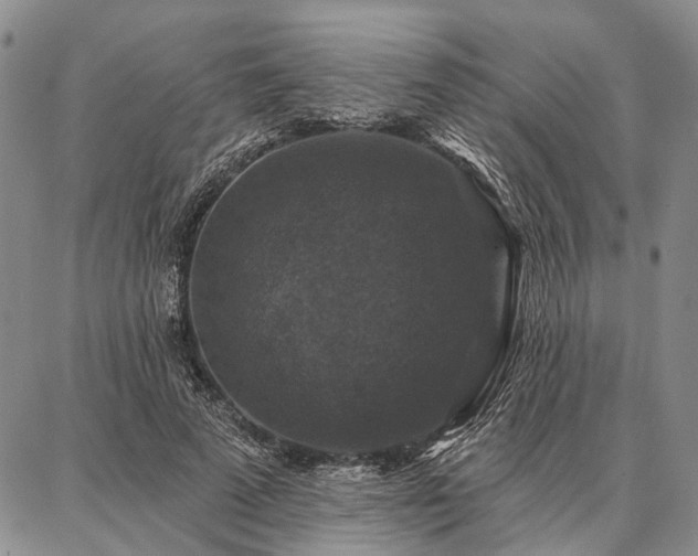 X0000086880689200704231103