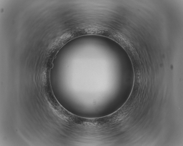 X0000086880690200704231103