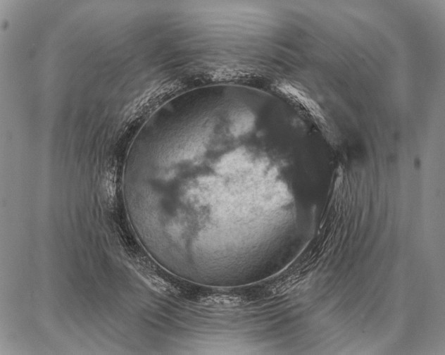 X0000086880691200704231103