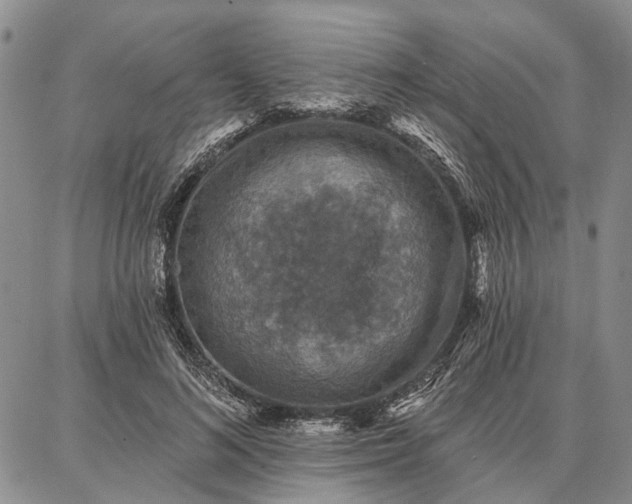 X0000086880692200704231103