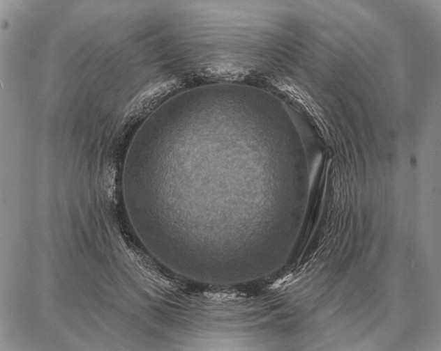 X0000086880693200704231103