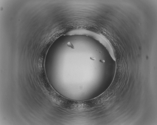 X0000086880695200704231103