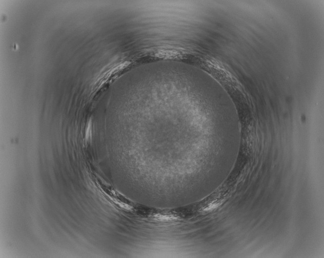 X0000086880696200704231103