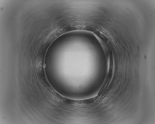 X0000086880697200704231103