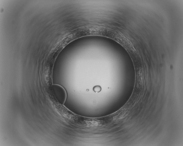 X0000086880698200704231103