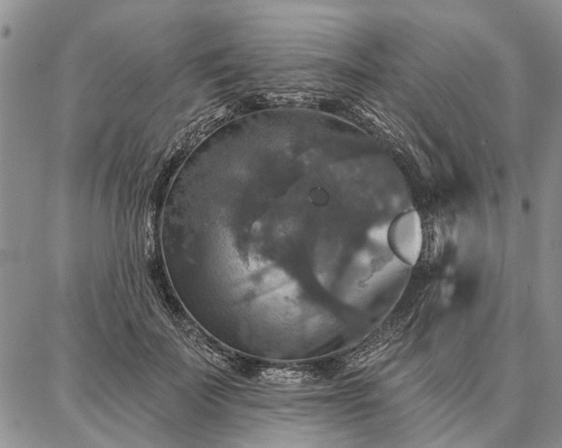 X0000086880699200704231103