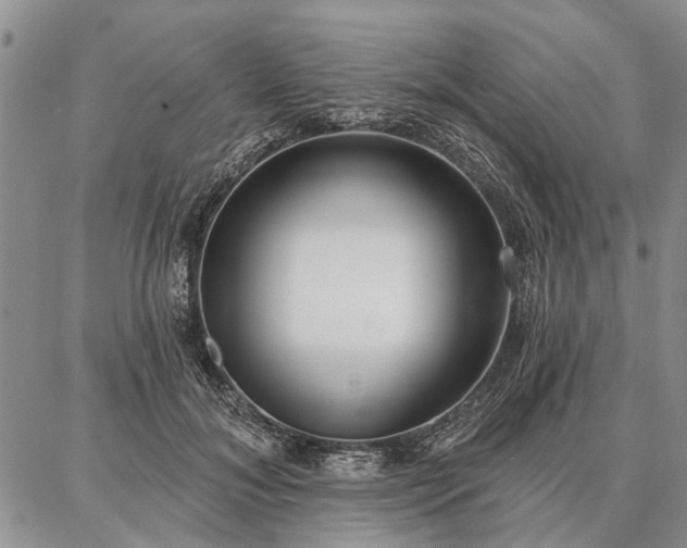 X0000086880700200704231103