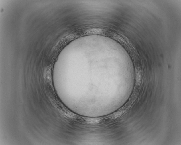 X0000086880701200704231103