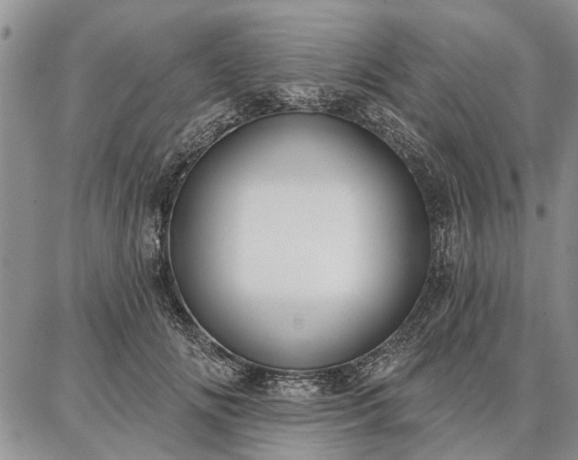 X0000086880702200704231103