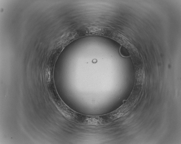 X0000086880703200704231103