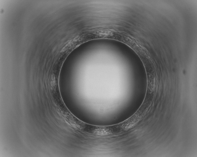 X0000086880704200704231103