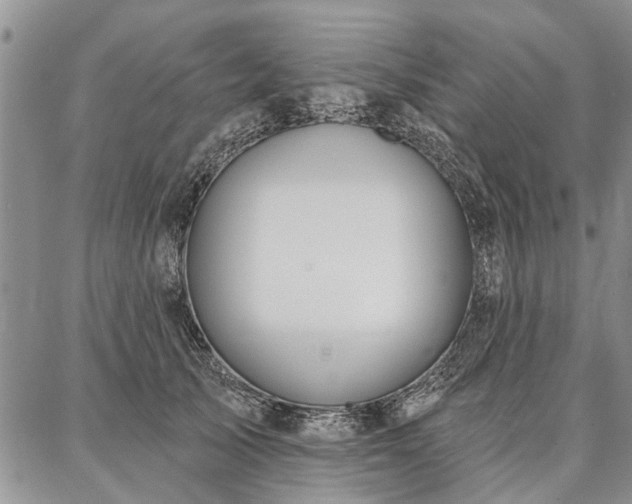 X0000086880705200704231103