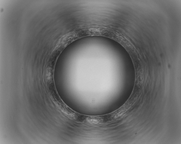 X0000086880706200704231103