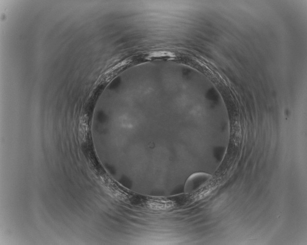 X0000086880707200704231103