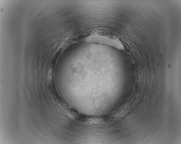 X0000086880708200704231103