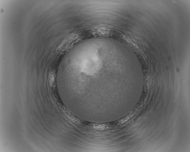 X0000086880709200704231103