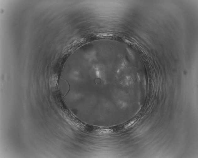 X0000086880711200704231103