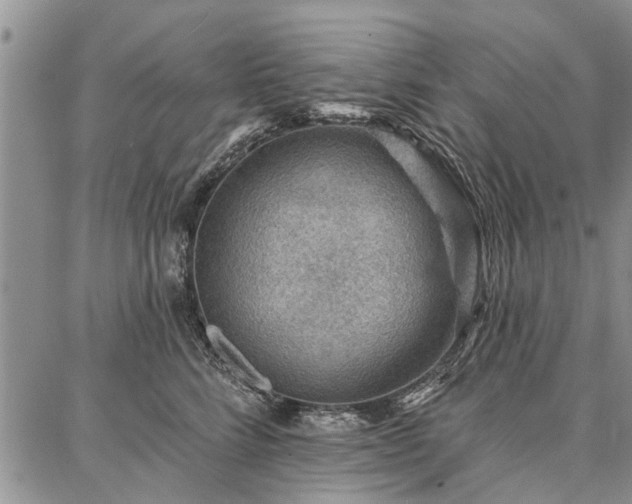 X0000086880712200704231103