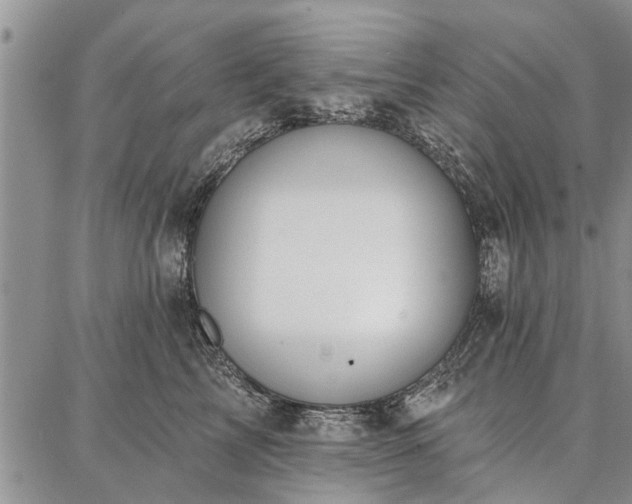 X0000086880713200704231103