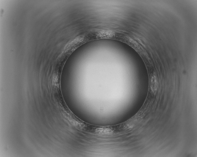 X0000086880714200704231103