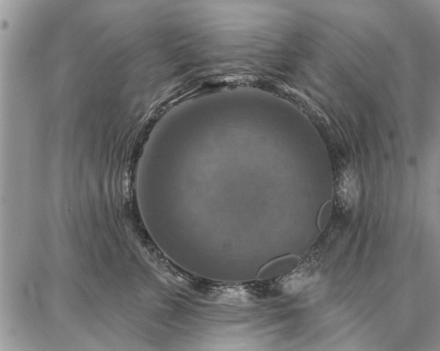 X0000086880715200704231103