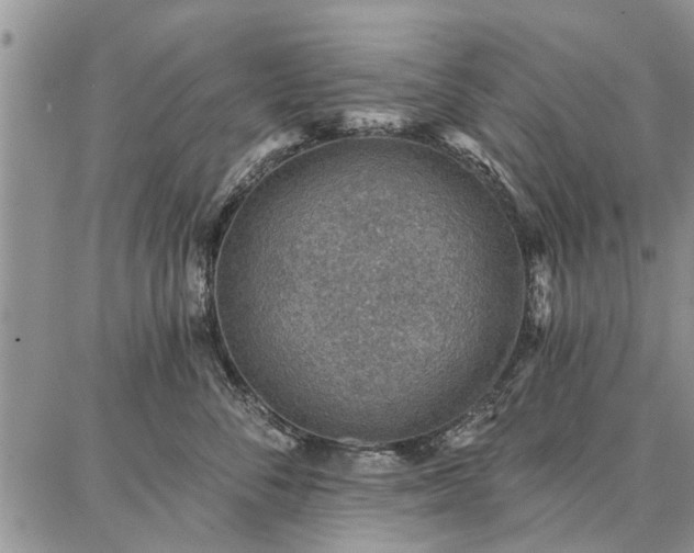 X0000086880716200704231103