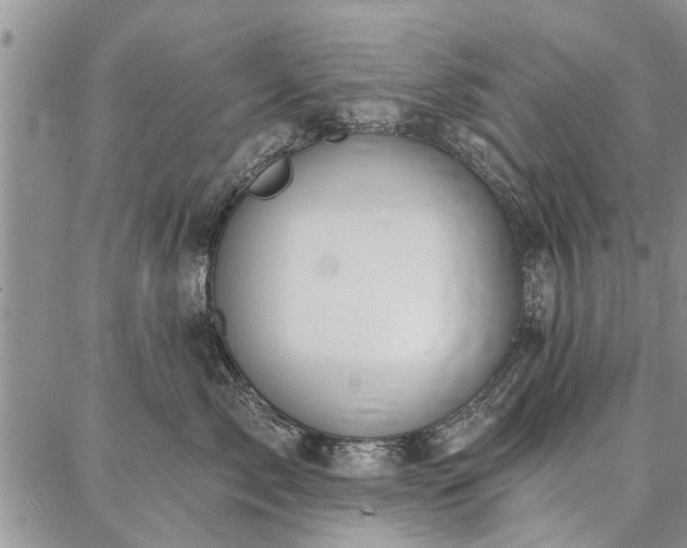 X0000086880717200704231103