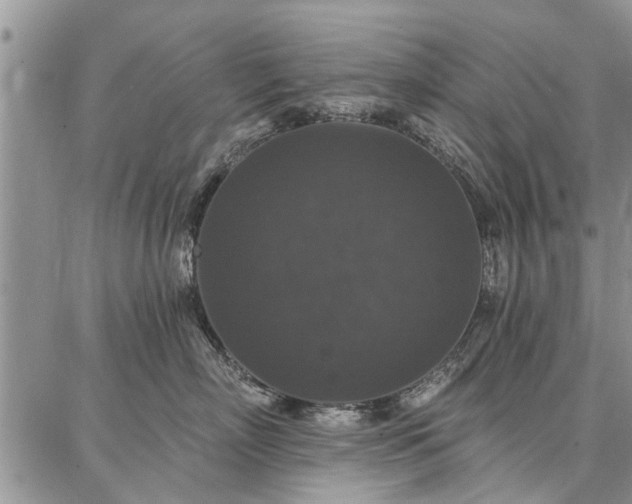 X0000086880718200704231103