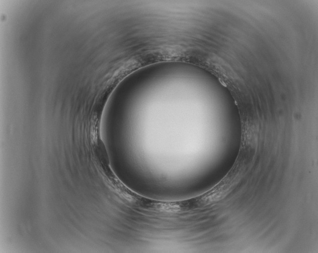 X0000086880719200704231103