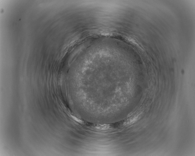 X0000086880720200704231103