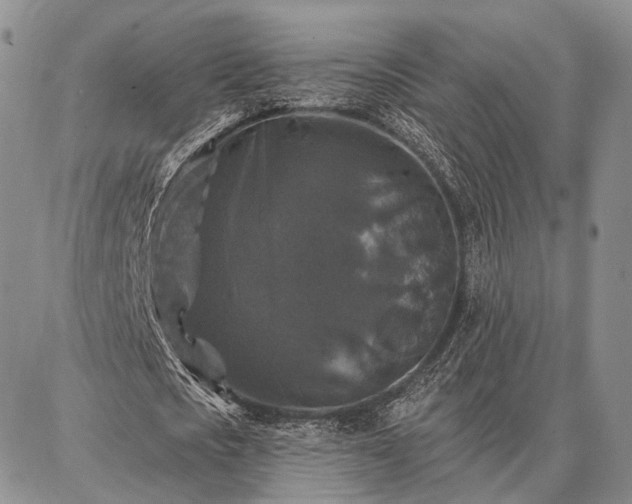 X0000086880721200704231102