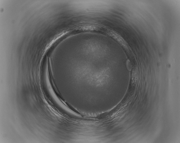 X0000086880722200704231102