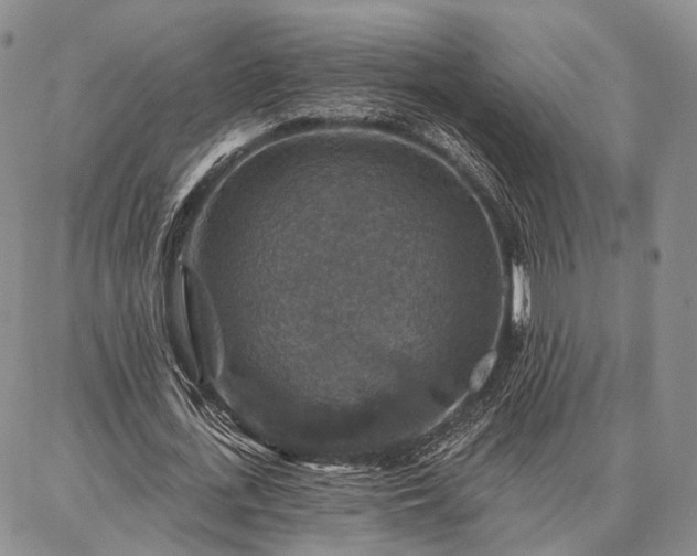 X0000086880723200704231102