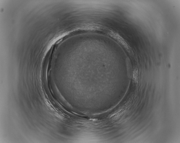 X0000086880724200704231102