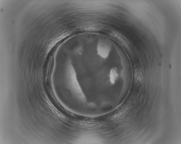 X0000086880725200704231102