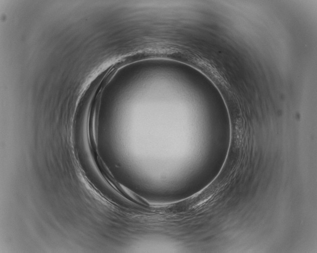 X0000086880726200704231102