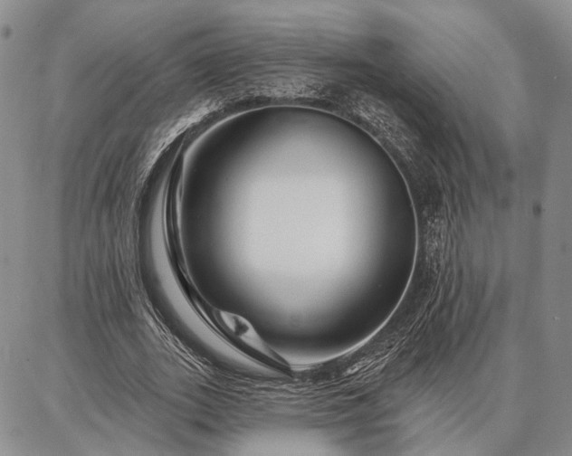 X0000086880727200704231102