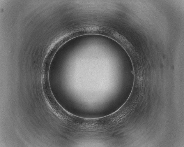 X0000086880728200704231102