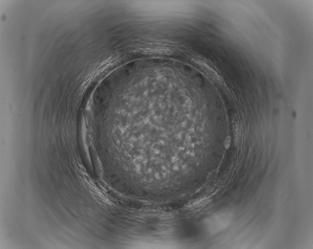 X0000086880729200704231102