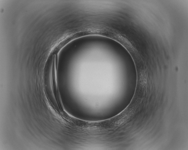 X0000086880730200704231102