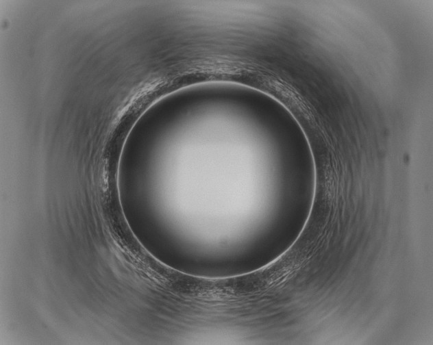 X0000086880731200704231102