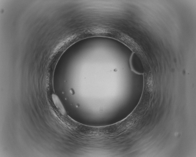 X0000086880732200704231102