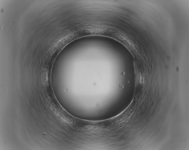 X0000086880733200704231102