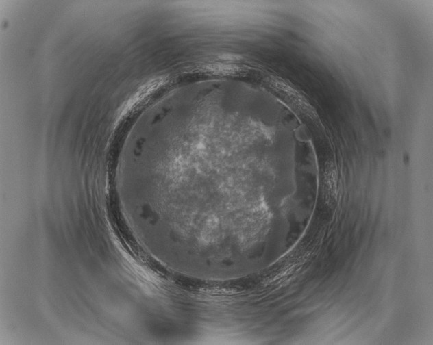 X0000086880734200704231102